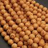 Tibetan Longan Bodhi Seed · Smooth · Round · 11.5mm · Large Hole, Tejas Beads, Beads