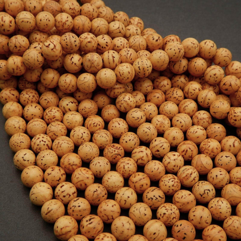 Tibetan Longan Bodhi Seed · Smooth · Round · 11.5mm · Large Hole, Tejas Beads, Beads