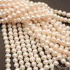 Freshwater Pearl · Potato · White · 8mm to 9mm, Tejas Beads, Beads